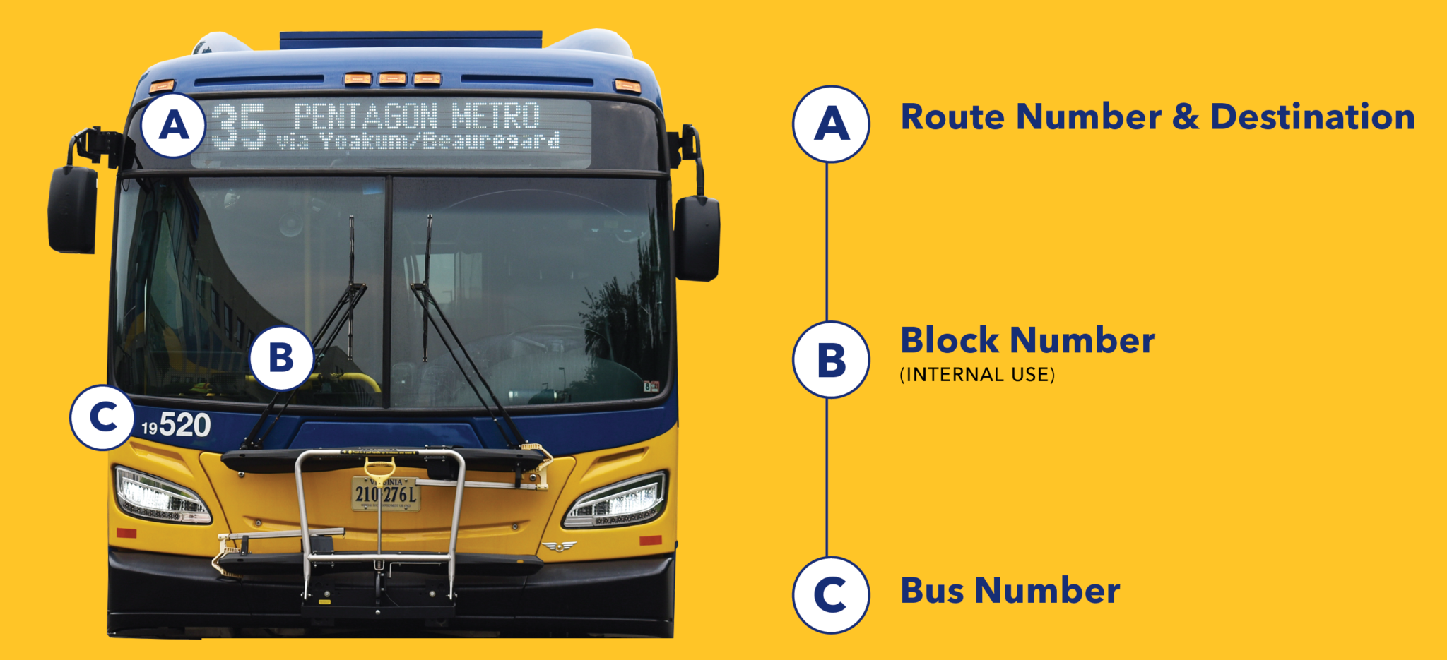 Safety & Travel Tips to Alexandria! DASH